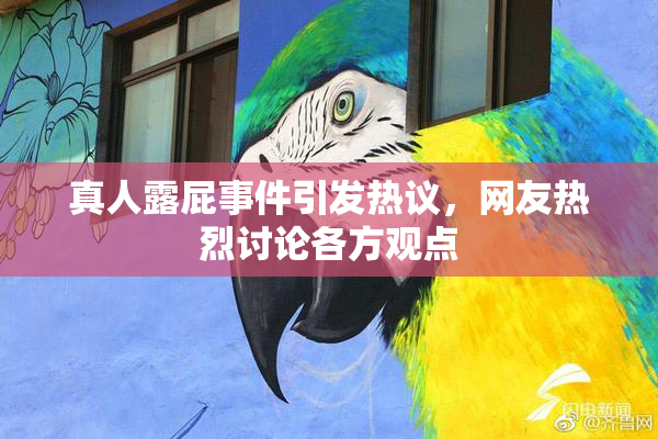 真人露屁事件引发热议，网友热烈讨论各方观点