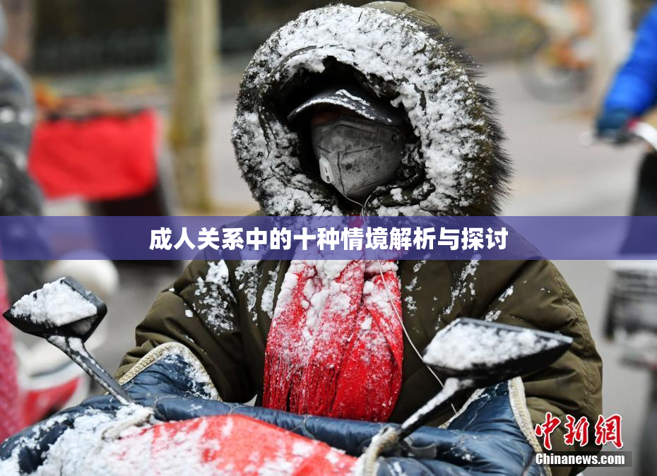 成人关系中的十种情境解析与探讨