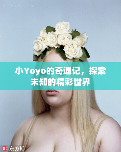 小Yoyo的奇遇记，探索未知的精彩世界