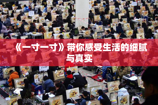 《一寸一寸》带你感受生活的细腻与真实