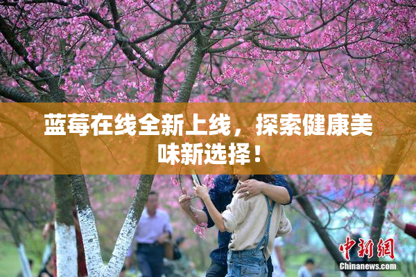 蓝莓在线全新上线，探索健康美味新选择！