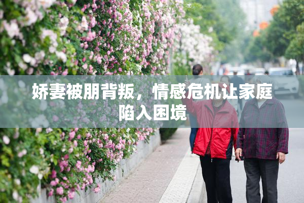 娇妻被朋背叛，情感危机让家庭陷入困境