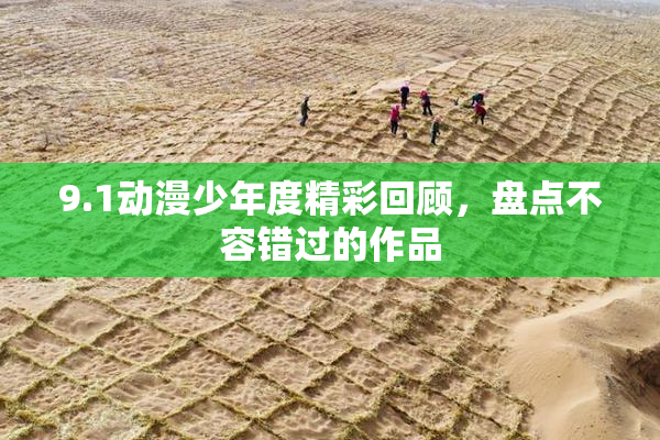 9.1动漫少年度精彩回顾，盘点不容错过的作品
