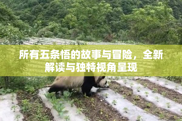 所有五条悟的故事与冒险，全新解读与独特视角呈现