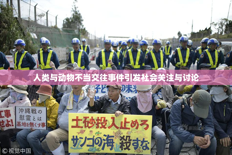 人类与动物不当交往事件引发社会关注与讨论