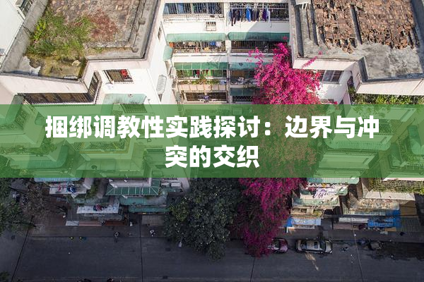捆绑调教性实践探讨：边界与冲突的交织