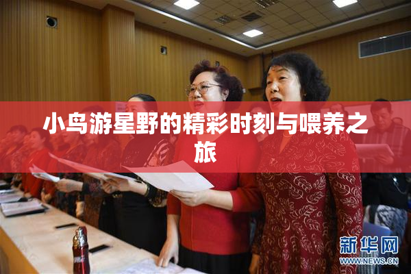 小鸟游星野的精彩时刻与喂养之旅