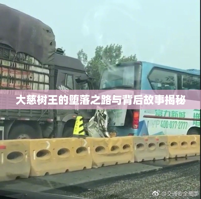 大慈树王的堕落之路与背后故事揭秘