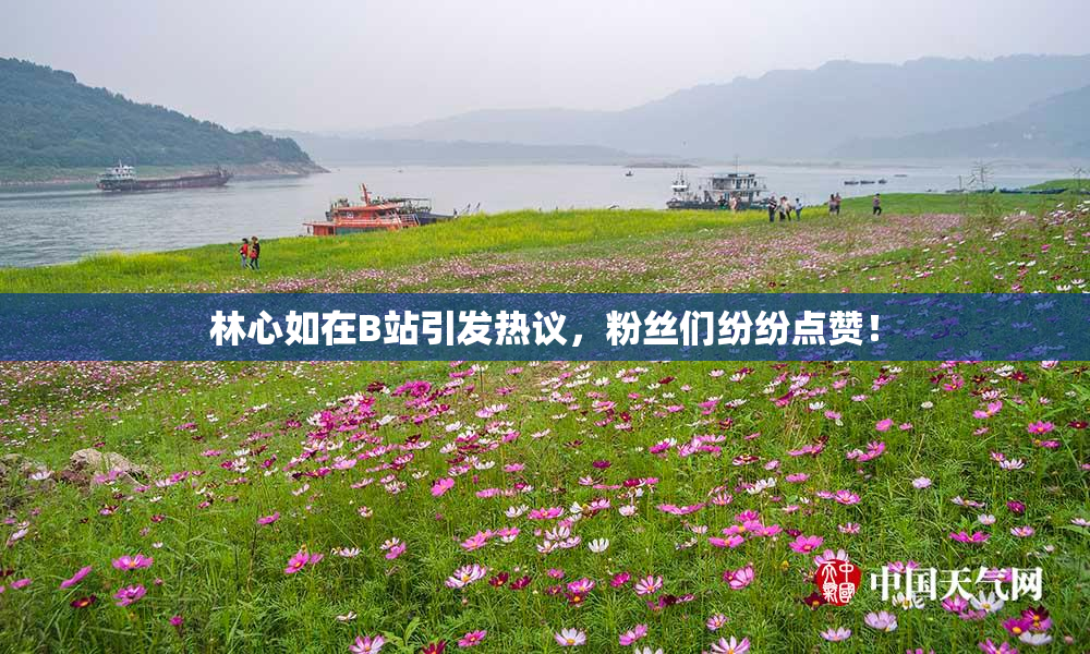 林心如在B站引发热议，粉丝们纷纷点赞！