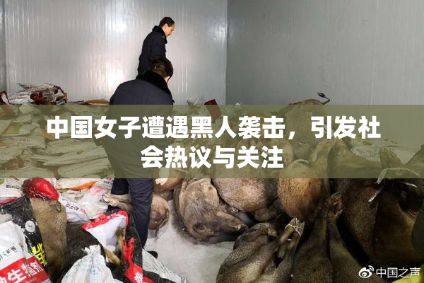 中国女子遭遇黑人袭击，引发社会热议与关注