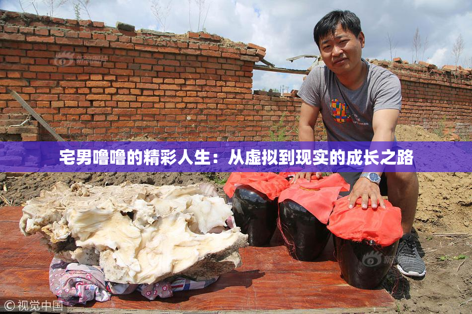 宅男噜噜的精彩人生：从虚拟到现实的成长之路