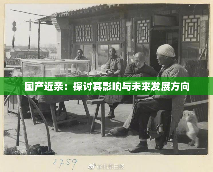 国产近亲：探讨其影响与未来发展方向