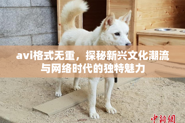 avi格式无重，探秘新兴文化潮流与网络时代的独特魅力