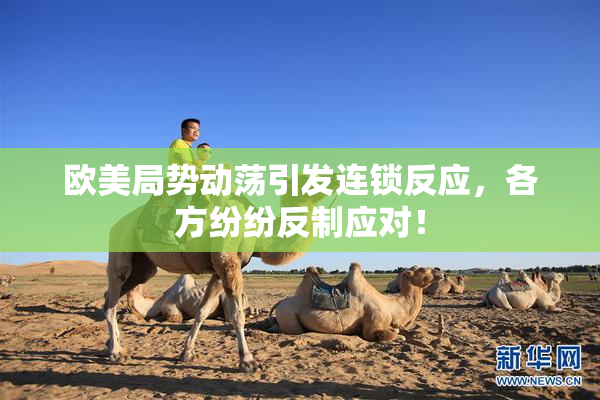 欧美局势动荡引发连锁反应，各方纷纷反制应对！
