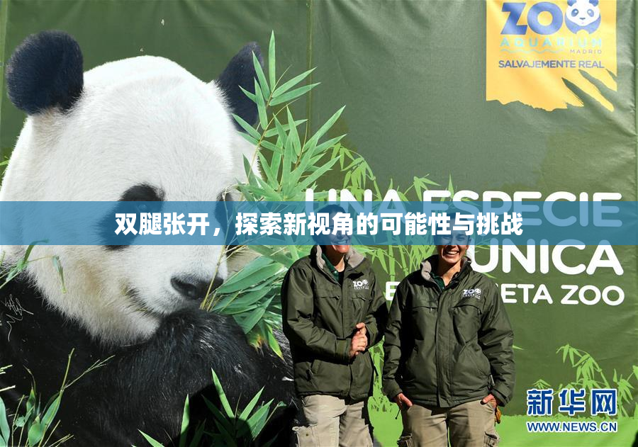 双腿张开，探索新视角的可能性与挑战