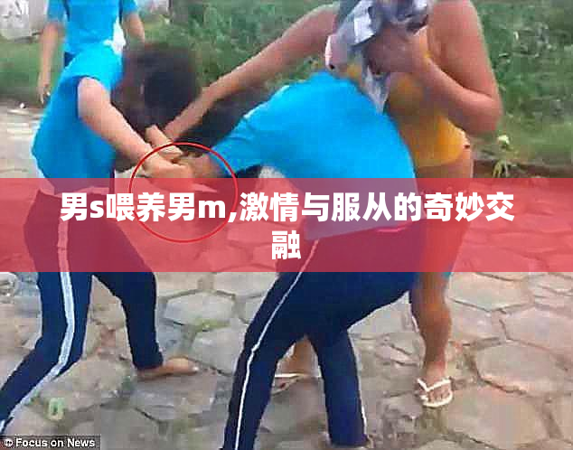 男s喂养男m,激情与服从的奇妙交融