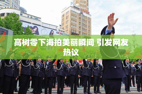 高树零下海拍美丽瞬间 引发网友热议