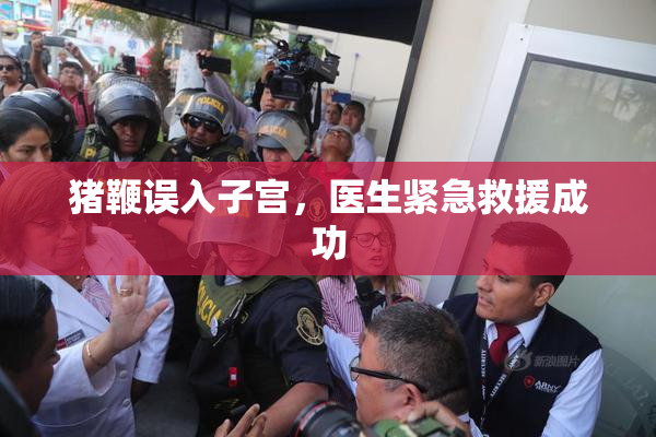 猪鞭误入子宫，医生紧急救援成功