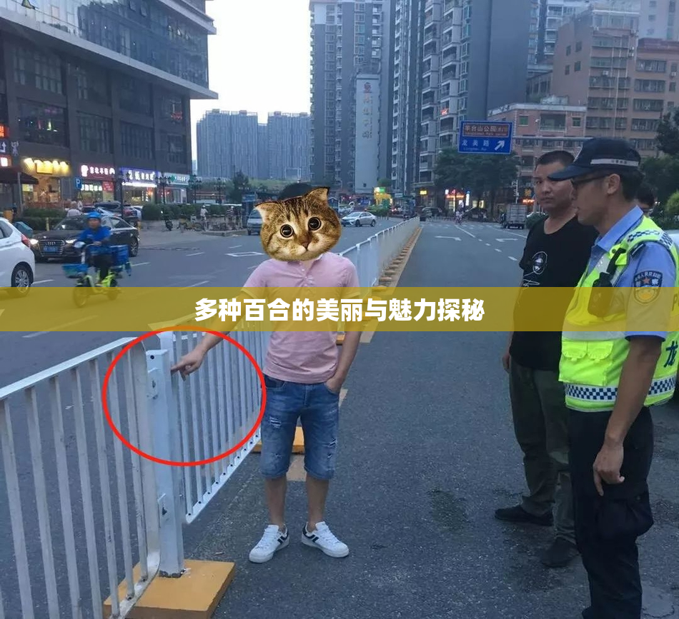 多种百合的美丽与魅力探秘