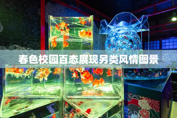 春色校园百态展现另类风情图景