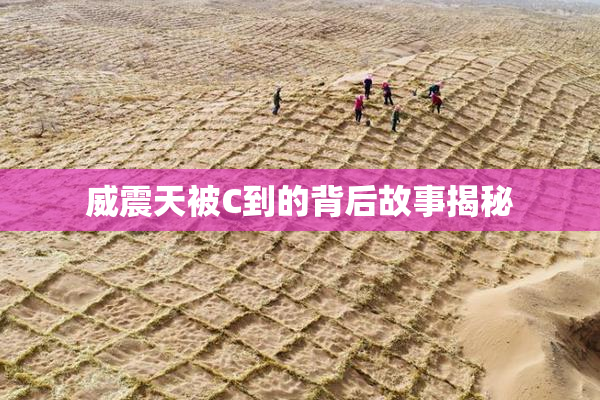 威震天被C到的背后故事揭秘