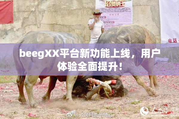 beegXX平台新功能上线，用户体验全面提升！