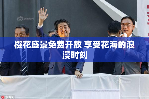 樱花盛景免费开放 享受花海的浪漫时刻