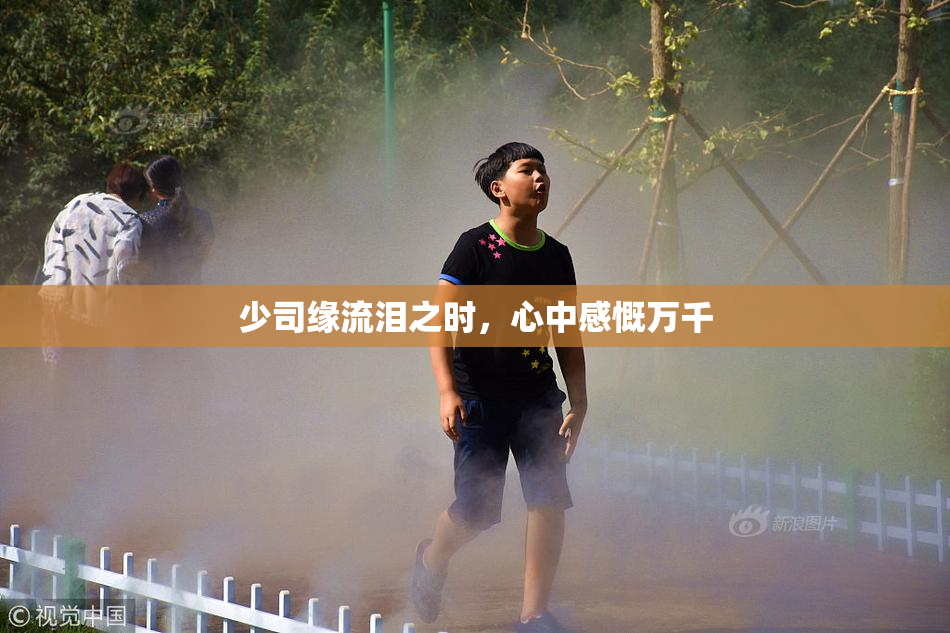 少司缘流泪之时，心中感慨万千