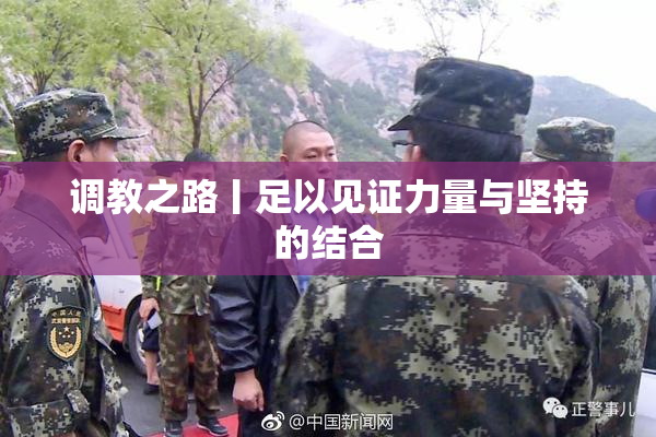 调教之路丨足以见证力量与坚持的结合