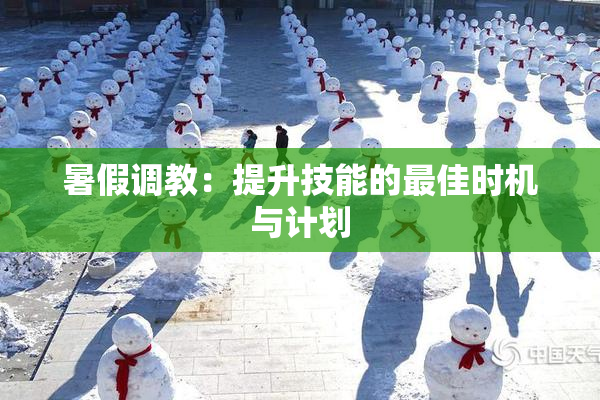 暑假调教：提升技能的最佳时机与计划