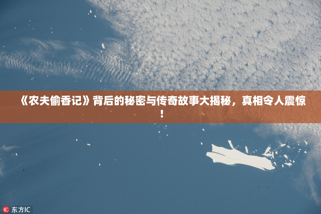 《农夫偷香记》背后的秘密与传奇故事大揭秘，真相令人震惊！