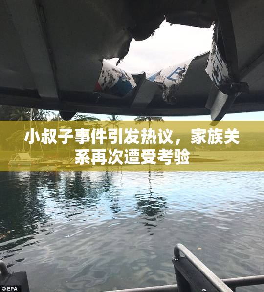 小叔子事件引发热议，家族关系再次遭受考验