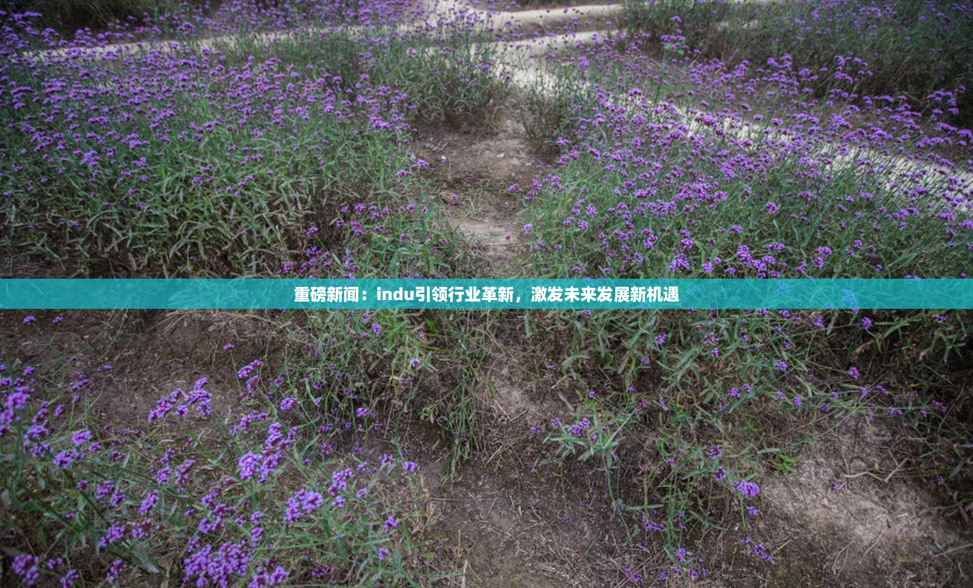 重磅新闻：indu引领行业革新，激发未来发展新机遇
