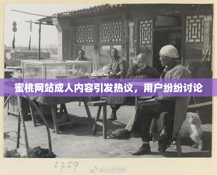 蜜桃网站成人内容引发热议，用户纷纷讨论