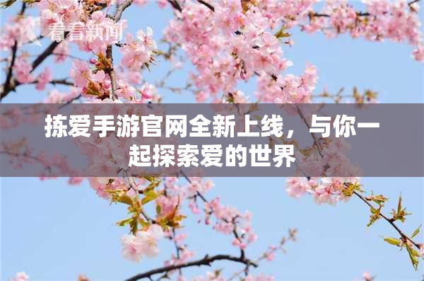 拣爱手游官网全新上线，与你一起探索爱的世界