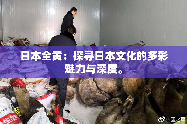 日本全黄：探寻日本文化的多彩魅力与深度。