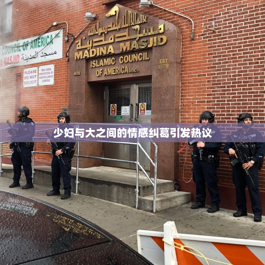 少妇与大之间的情感纠葛引发热议
