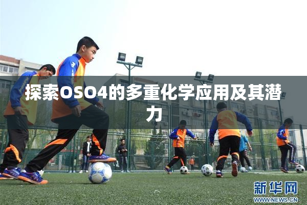 探索OSO4的多重化学应用及其潜力