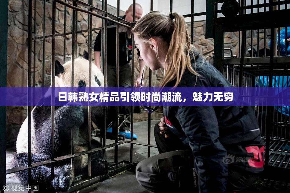 日韩熟女精品引领时尚潮流，魅力无穷