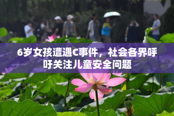 6岁女孩遭遇C事件，社会各界呼吁关注儿童安全问题