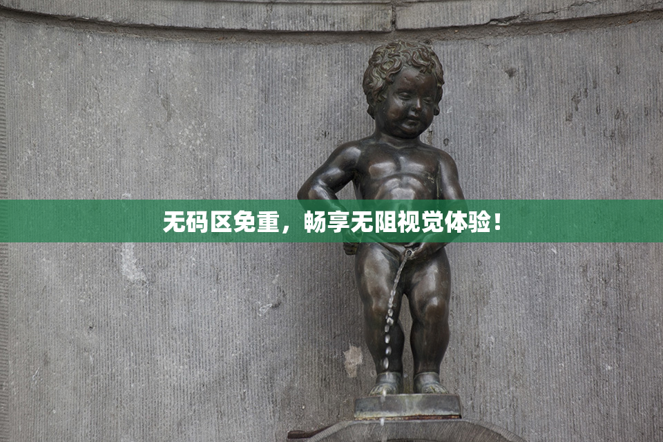 无码区免重，畅享无阻视觉体验！
