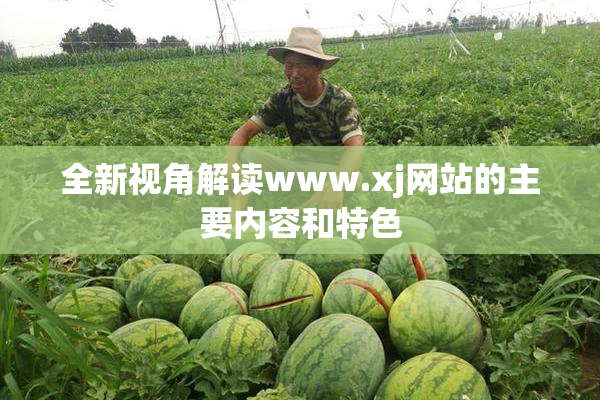 全新视角解读www.xj网站的主要内容和特色