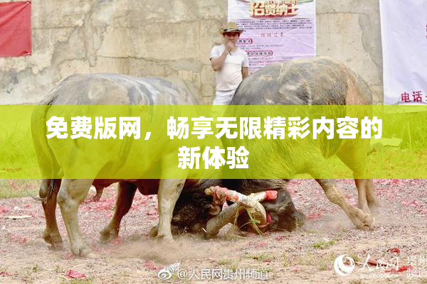 免费版网，畅享无限精彩内容的新体验