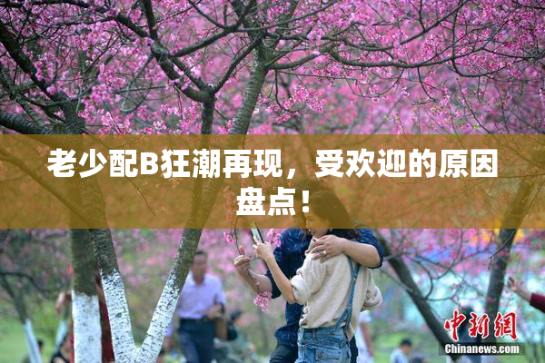 老少配B狂潮再现，受欢迎的原因盘点！
