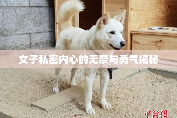 女子私密内心的无奈与勇气揭秘