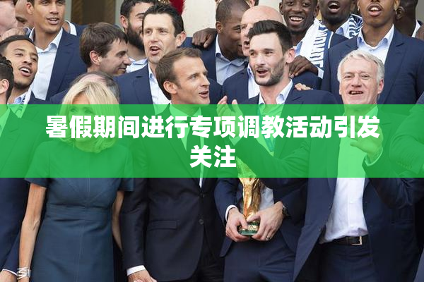暑假期间进行专项调教活动引发关注