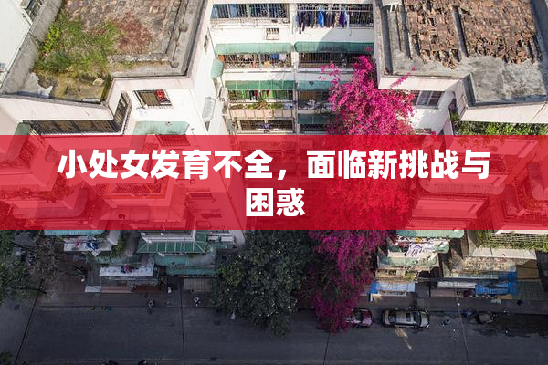 小处女发育不全，面临新挑战与困惑