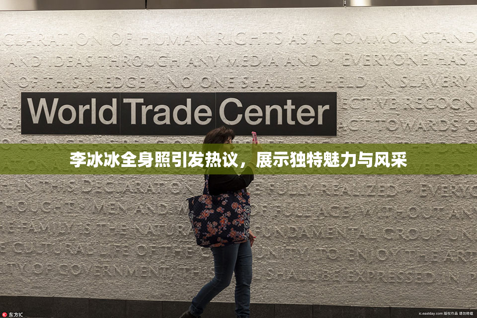 李冰冰全身照引发热议，展示独特魅力与风采