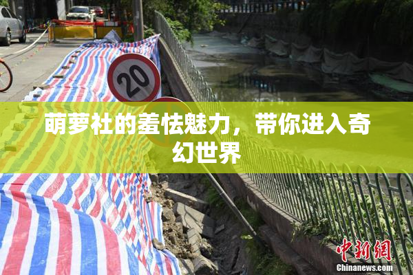 萌萝社的羞怯魅力，带你进入奇幻世界