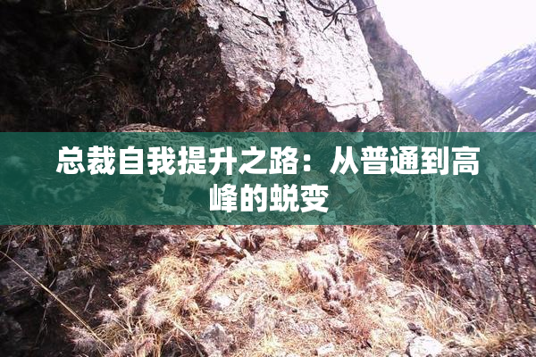 总裁自我提升之路：从普通到高峰的蜕变